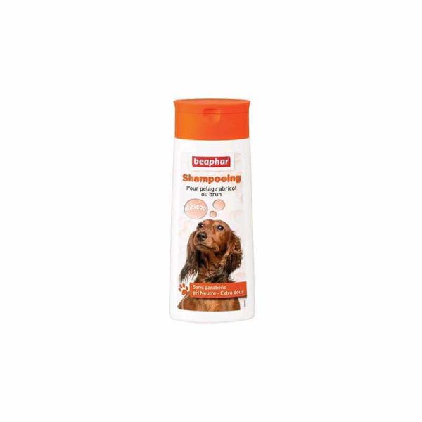 Shampooing pour chien pelage abricot ou brun 250 ml